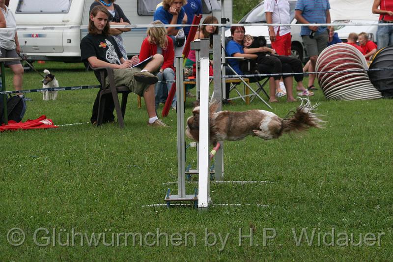 gluehwuermchen08 094 (18).jpg